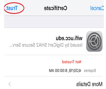 iPhone certificate trust screen